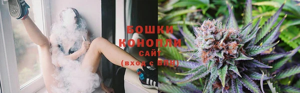 гашик Гусев