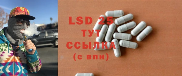 гашик Гусев