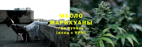 гашик Гусев