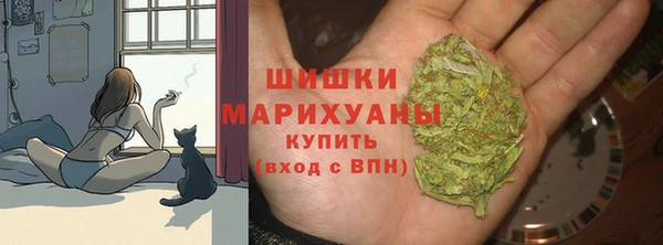 гашик Гусев
