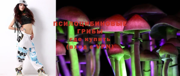 шишки Гусь-Хрустальный
