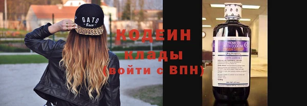 гашик Гусев