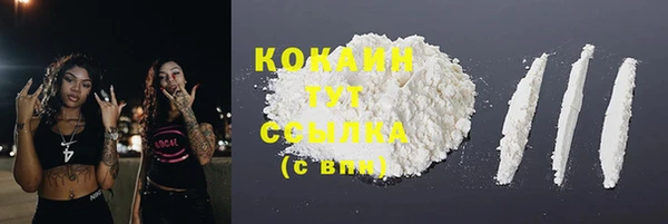 шишки Гусь-Хрустальный