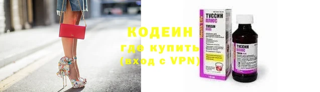 шишки Гусь-Хрустальный