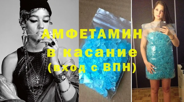 шишки Гусь-Хрустальный