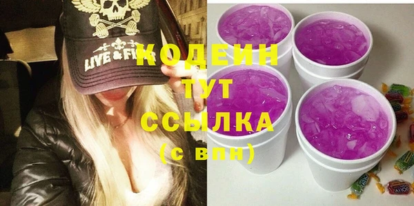 гашик Гусев