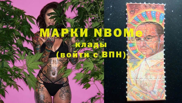 шишки Гусь-Хрустальный