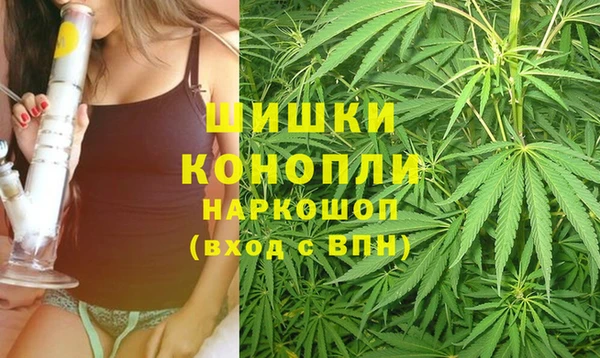 шишки Гусь-Хрустальный