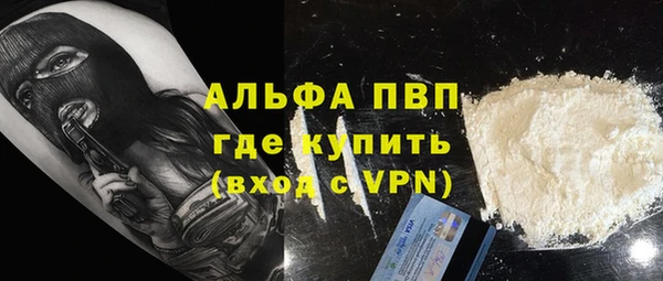 шишки Гусь-Хрустальный
