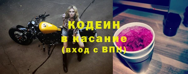 шишки Гусь-Хрустальный