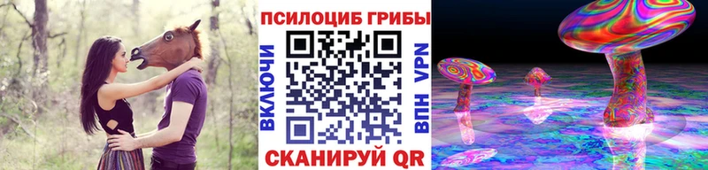 Галлюциногенные грибы Psilocybe  Горячеводский 