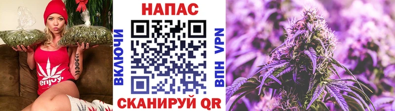 купить   Горячеводский  Канабис семена 